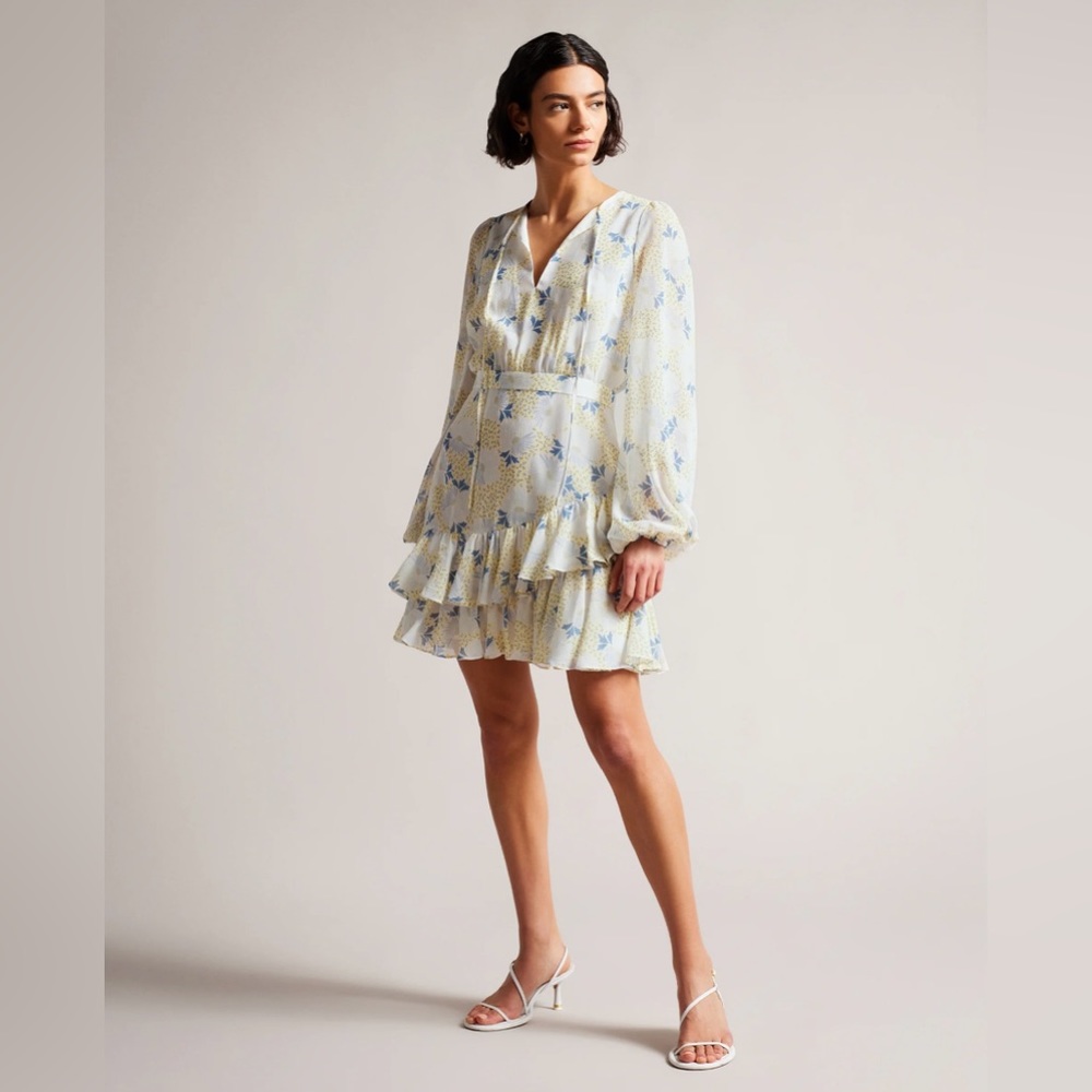 Ted Baker Suziiee Dress Size 2/ US- 6 NWT